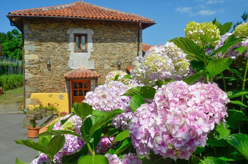La Asturxana Guest House Malleza Bagian luar foto